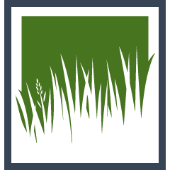 Lawn Sod Installation Pros