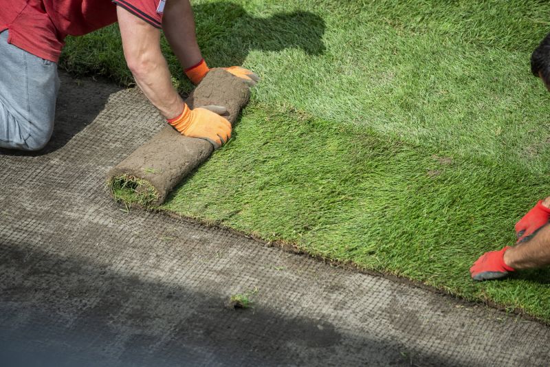 Lawn Sod Installation