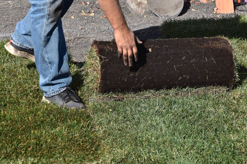 Lawn Sod Installation
