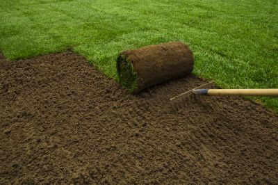 Lawn Sod Installation