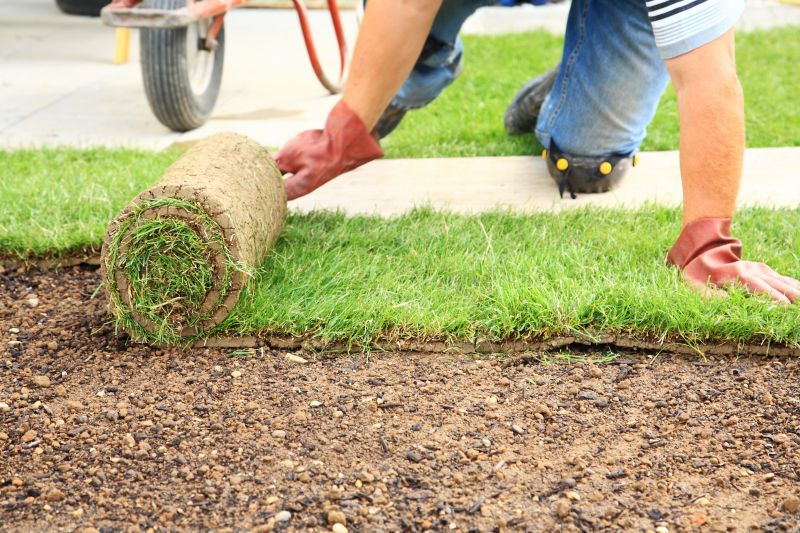 Lawn Sod Installation