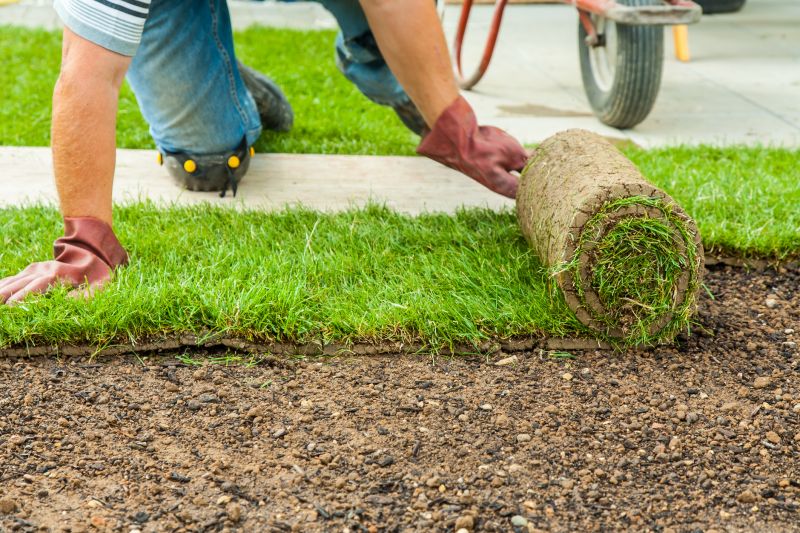 Lawn Sod Installation