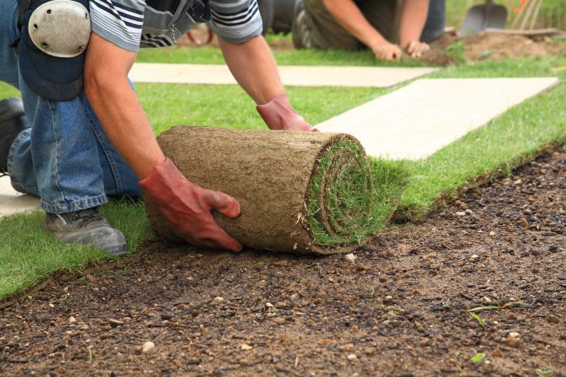 Lawn Sod Installation
