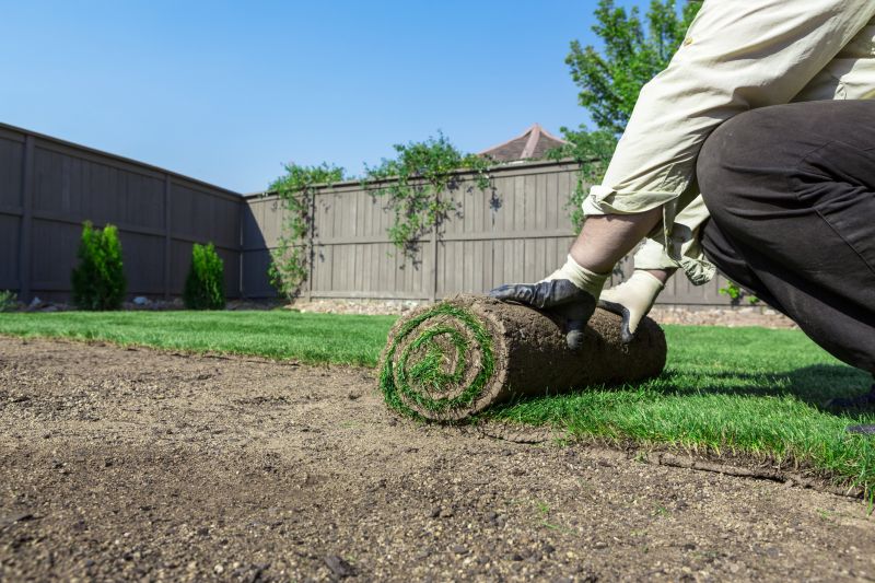Lawn Sod Installation