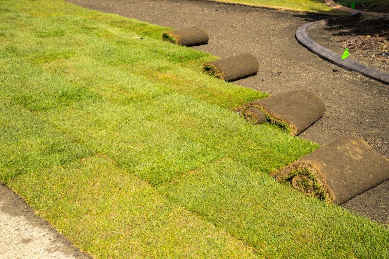 Lawn Sod Installation