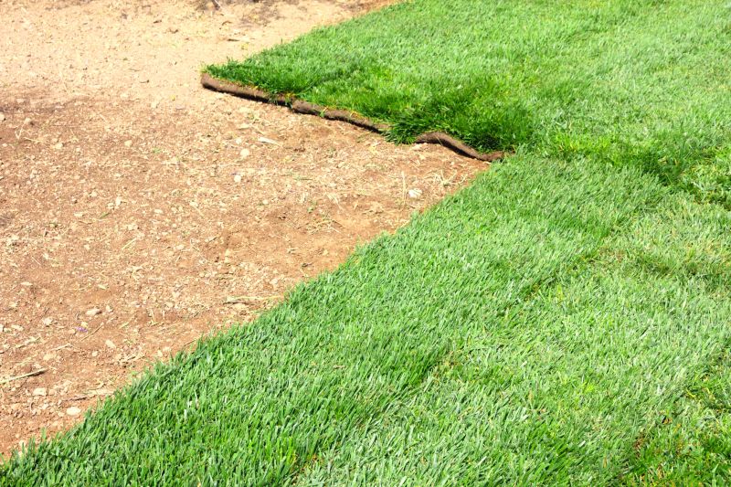 Lawn Sod Installation