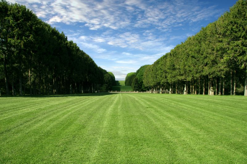 Lawn Sod Installation