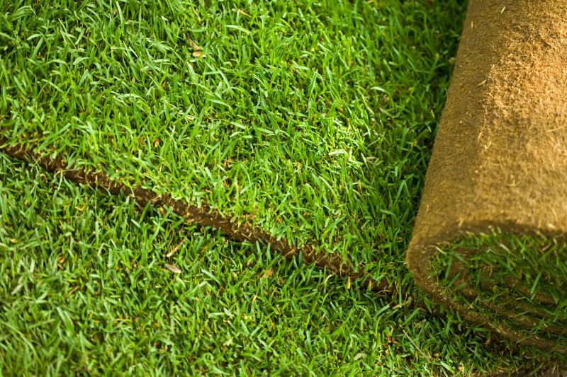 Lawn Sod Installation