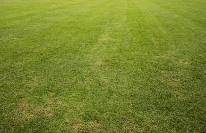 Lawn Sod Installation