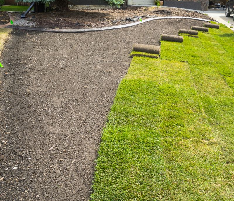Lawn Sod Installation
