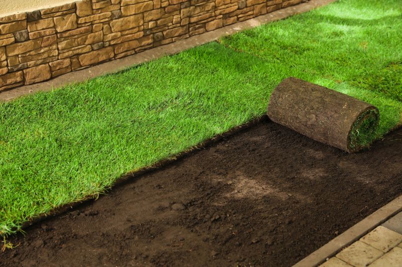 Lawn Sod Installation