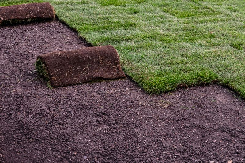 Lawn Sod Installation