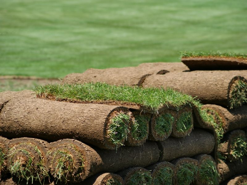 Lawn Sod Installation